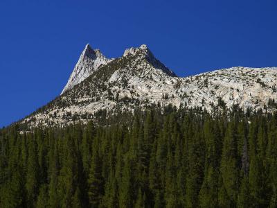 Download free tree landscape mountain image