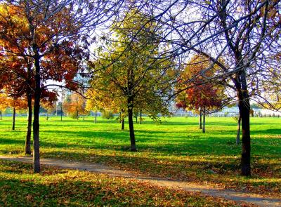 Download free tree leaf landscape grass park image
