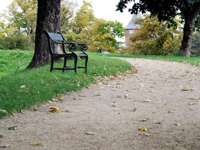 Download free tree path park bench image