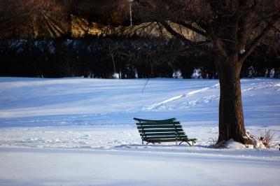 Download free tree snow bench image