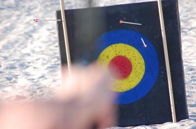 Download free sport shooting longbow arrow target image