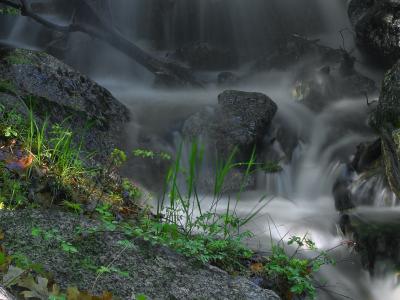 Download free water grass rock waterfall image