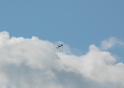 Download free blue plane sky cloud image