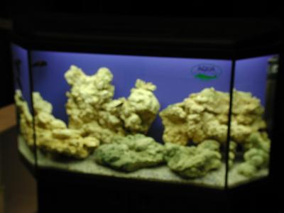 Download free aquarium image