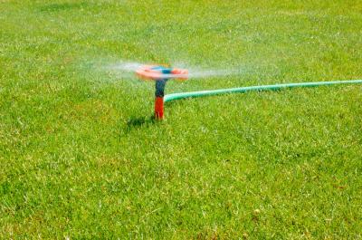Download free water grass baste hose image