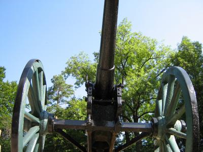 Download free metal cannon war wheel image