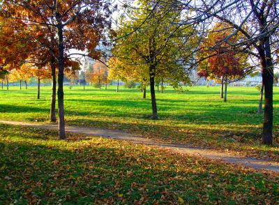 Download free tree landscape grass park image