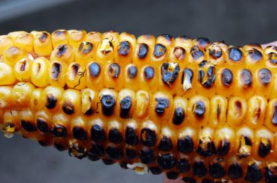 Download free yellow corn image