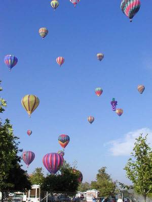 Download free hot air balloon image