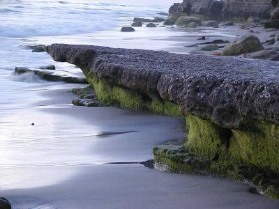 Download free beach sand rock image