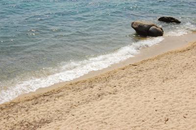 Download free sea beach sand rock image