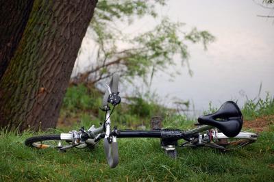 Download free tree grass bike image