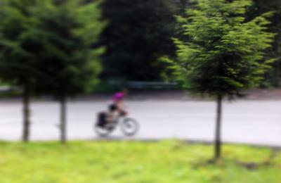 Download free tree road bike fuzzy image