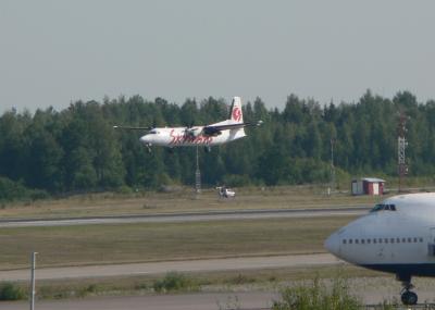 Download free forest tree plane landing image