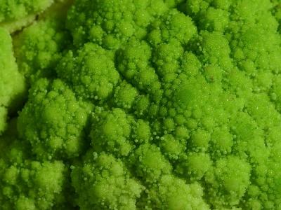 Download free vegetable food green broccoli image