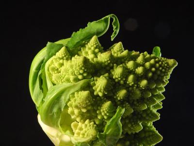Download free vegetable food broccoli image